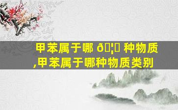 甲苯属于哪 🦊 种物质,甲苯属于哪种物质类别